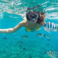 Promoción 2x1 Excursión 4 Islas