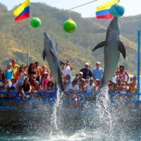 Acuario con Show de Delfines y Playa Blanca – Santa Marta