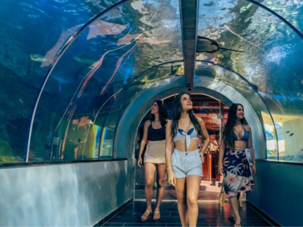 Acuario con Show de Delfines y Playa Blanca – Santa Marta