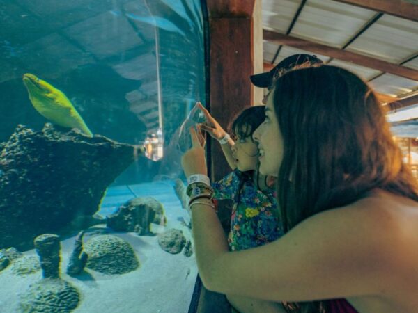 Acuario con Show de Delfines y Playa Blanca – Santa Marta