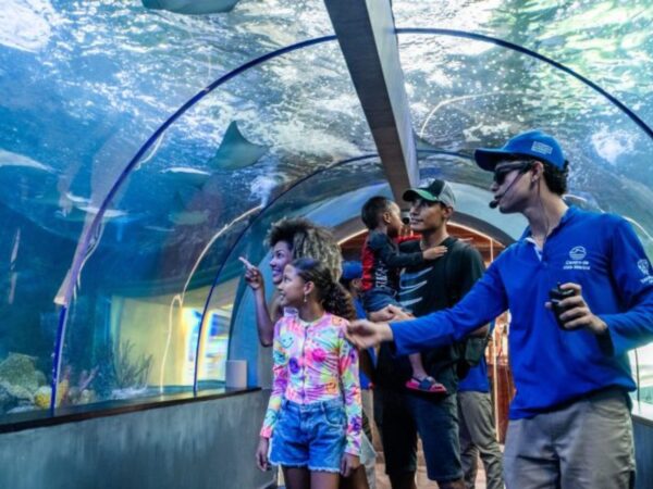 Acuario con Show de Delfines y Playa Blanca – Santa Marta