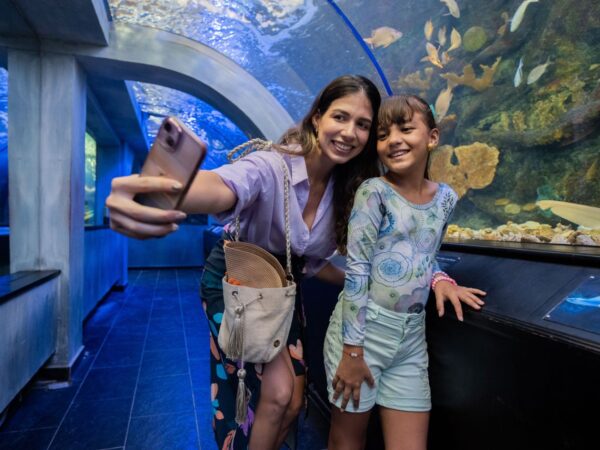 Acuario con Show de Delfines y Playa Blanca – Santa Marta
