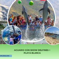 Acuario con Show de Delfines y Playa Blanca – Santa Marta