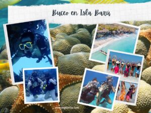 Buceo en Cartagena con Exploria 01 Buceo en Isla Barú + Playa Blanca en Cartagena