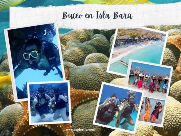 Buceo en Cartagena con Exploria 01 Buceo en Isla Barú + Playa Blanca en Cartagena