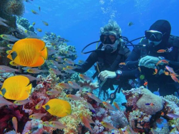 Buceo en Cartagena con Exploria 02 Buceo en Isla Barú + Playa Blanca en Cartagena