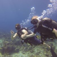 Buceo en Cartagena con Exploria 03 Buceo en Isla Barú + Playa Blanca en Cartagena
