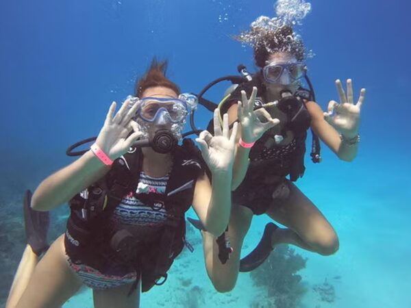 Buceo en Cartagena con Exploria 5 Buceo en Isla Barú + Playa Blanca en Cartagena
