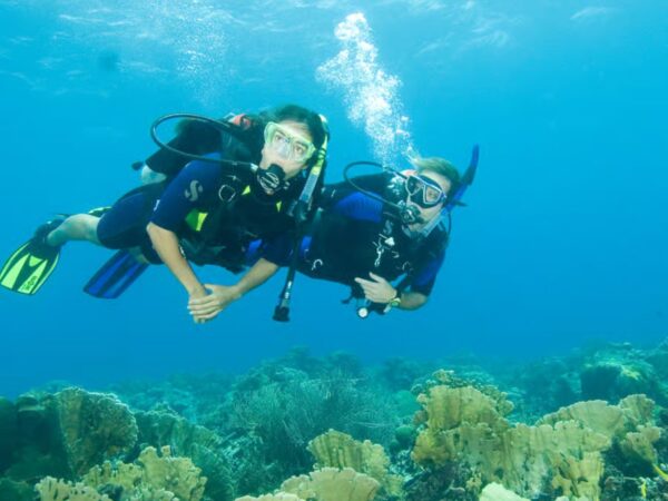 Buceo en San Andrés Islas con Exploria 11 Combo Parasail + Buceo en San Andrés