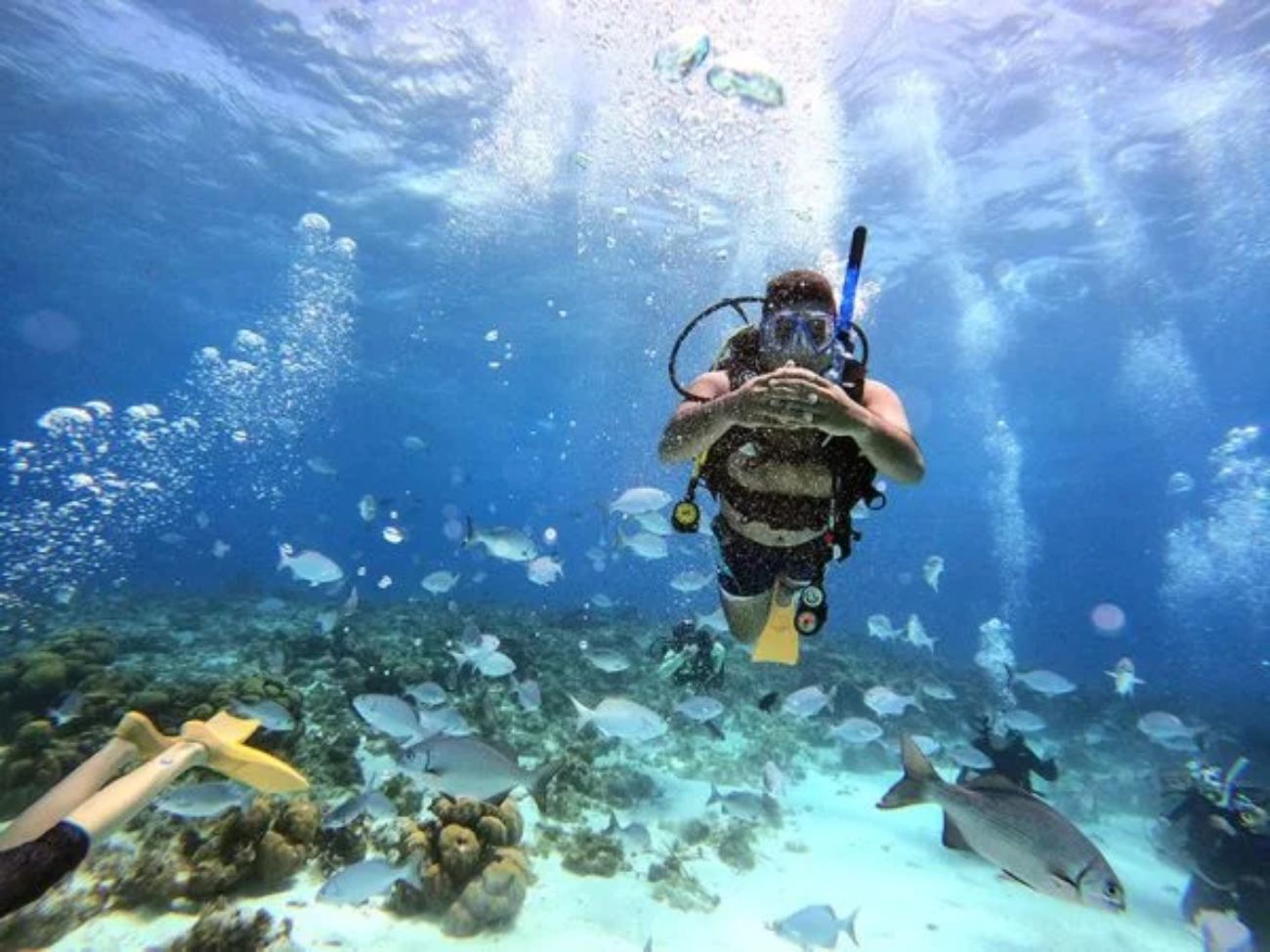 Buceo San Andrés