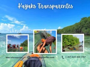 Tour en Kayak Transparente San Andrés