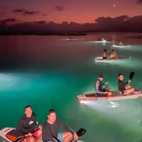 Tour Paddle Board Nocturno en San Andrés
