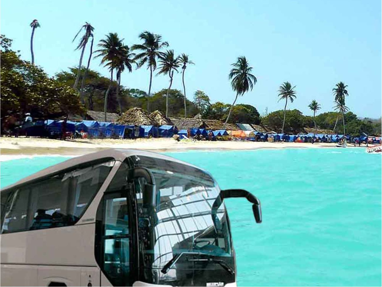 Transporte Bus