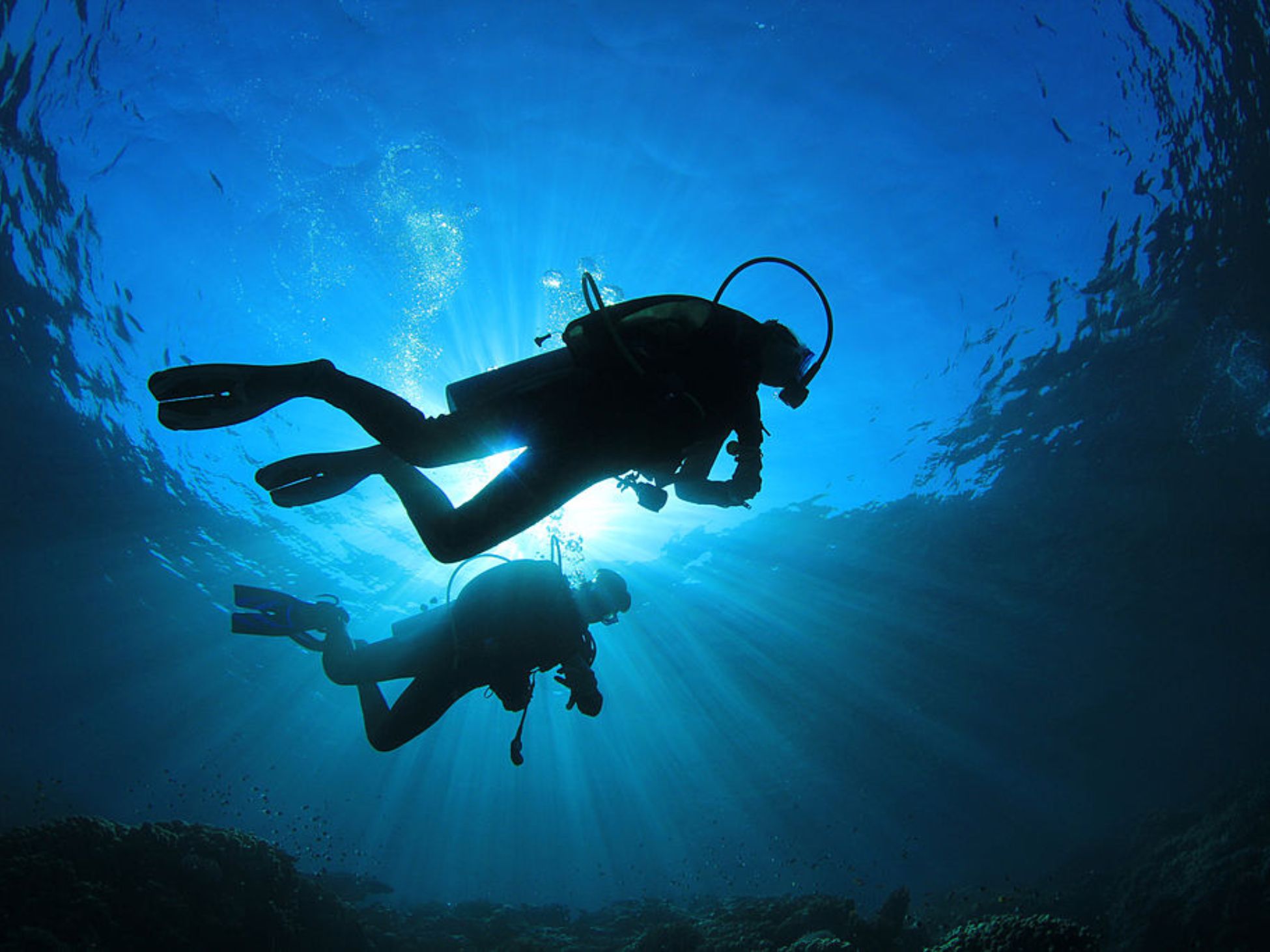 Buceo